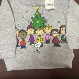 Peanuts Gray Sweatshirt with Colorful Characters